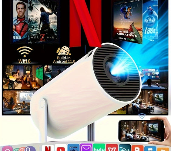 Vizify Projector