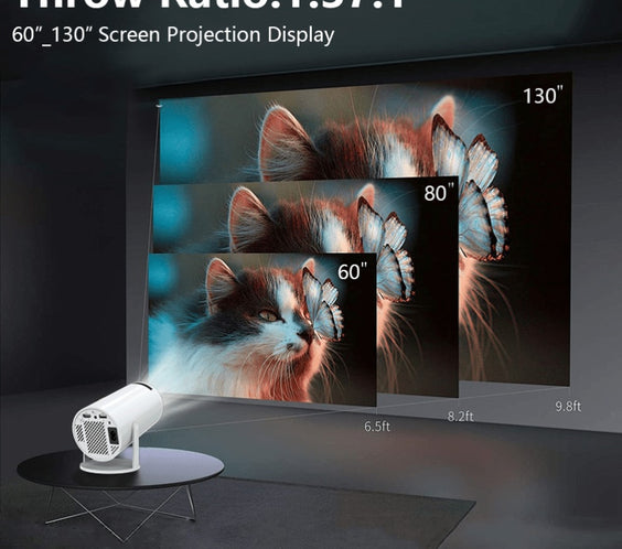 Vizify Projector